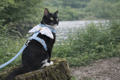 LunLux AngelPaw Harness