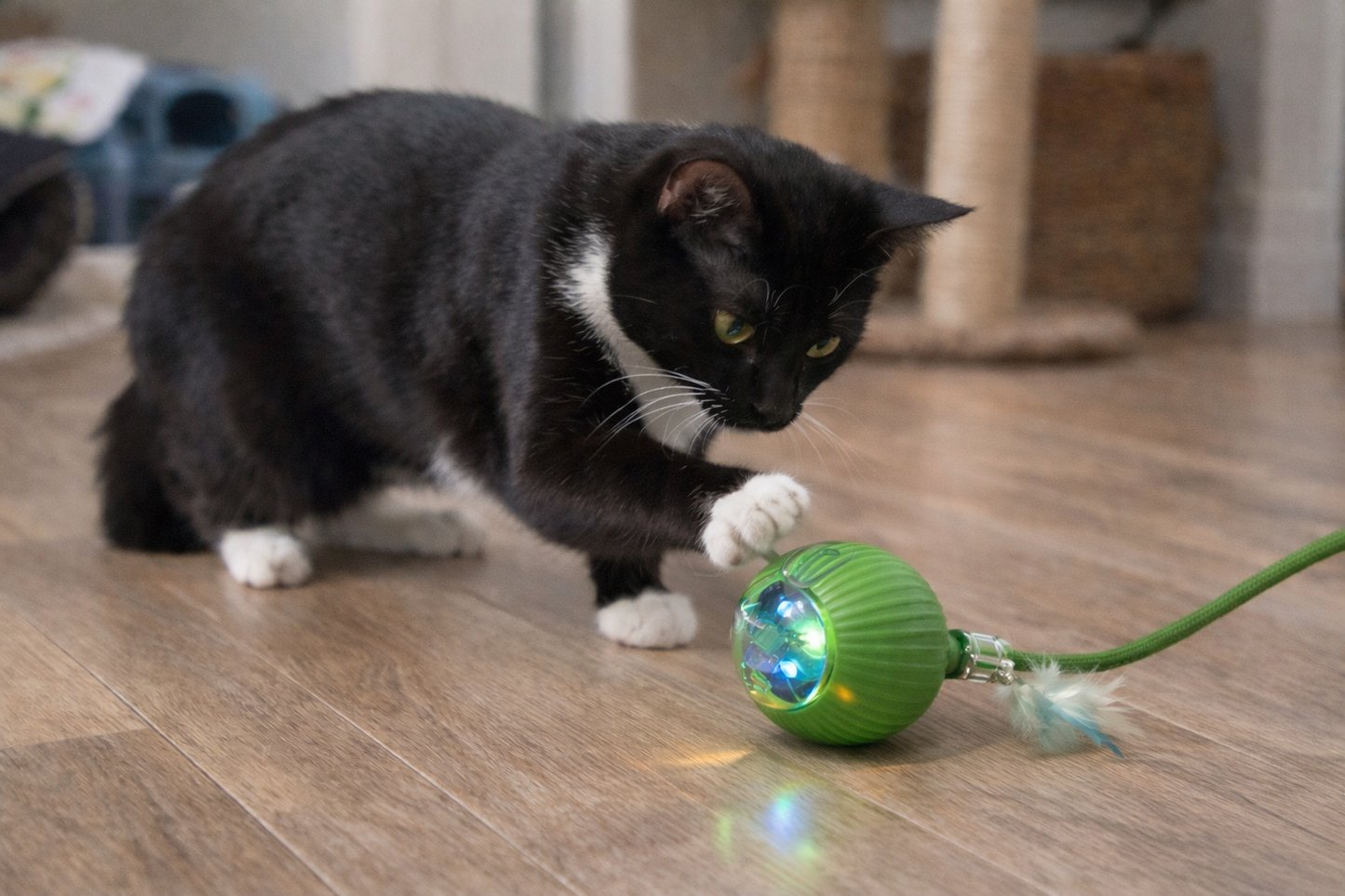 LunLux GlowSpin Cat Ball
