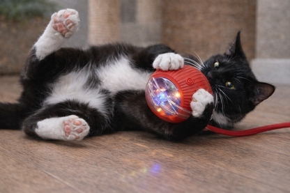LunLux GlowSpin Cat Ball